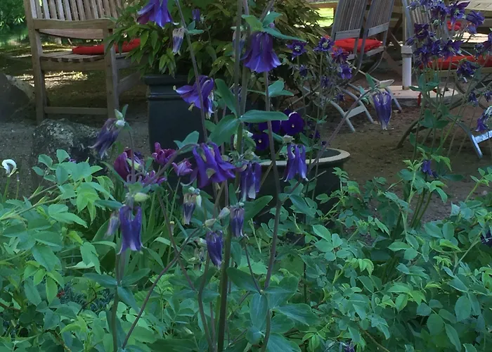 Grander Muehle Hotel Kuddeworde