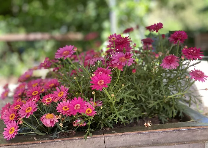 Grander Muehle Hotel Kuddeworde